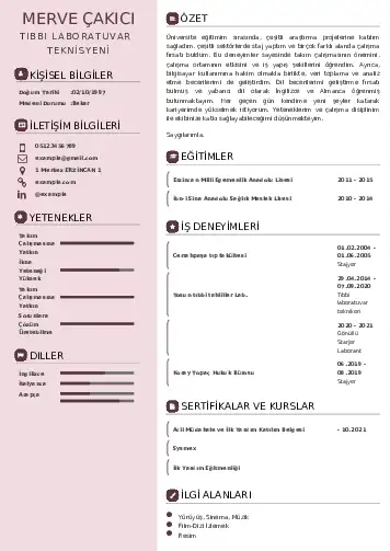 Laboratuvar Teknisyeni Cv Örnekleri cv indir